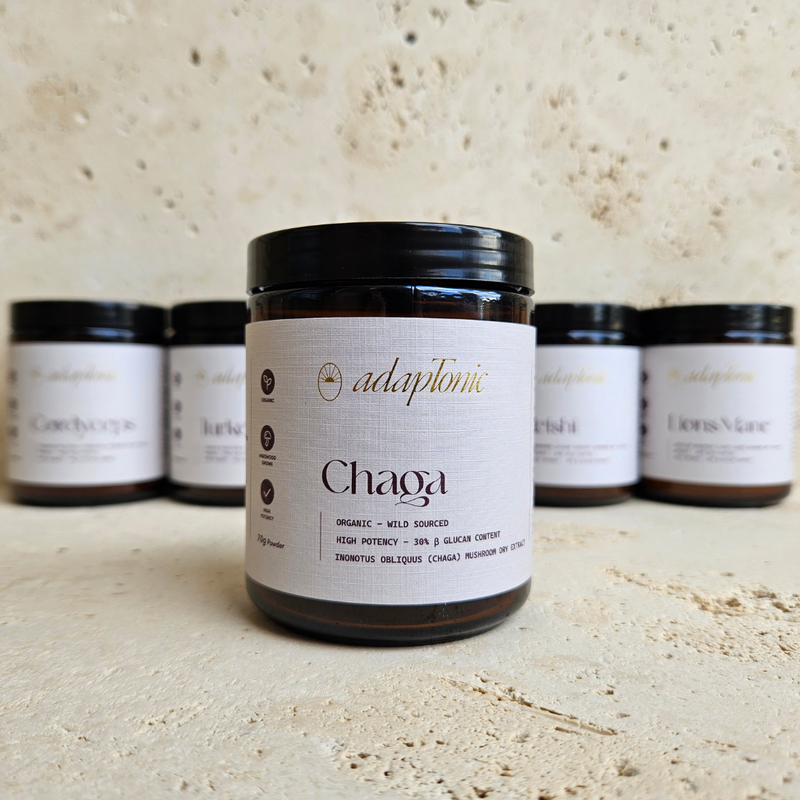 Chaga - 70g